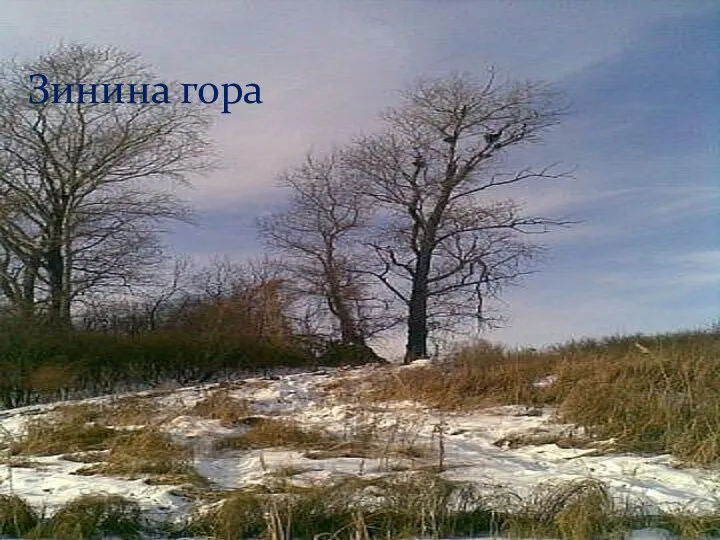 Зинина гора