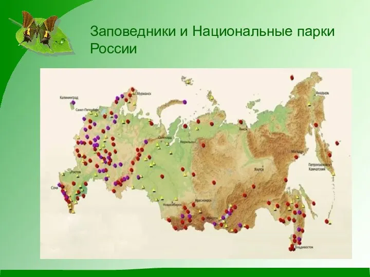 Заповедники и Национальные парки России