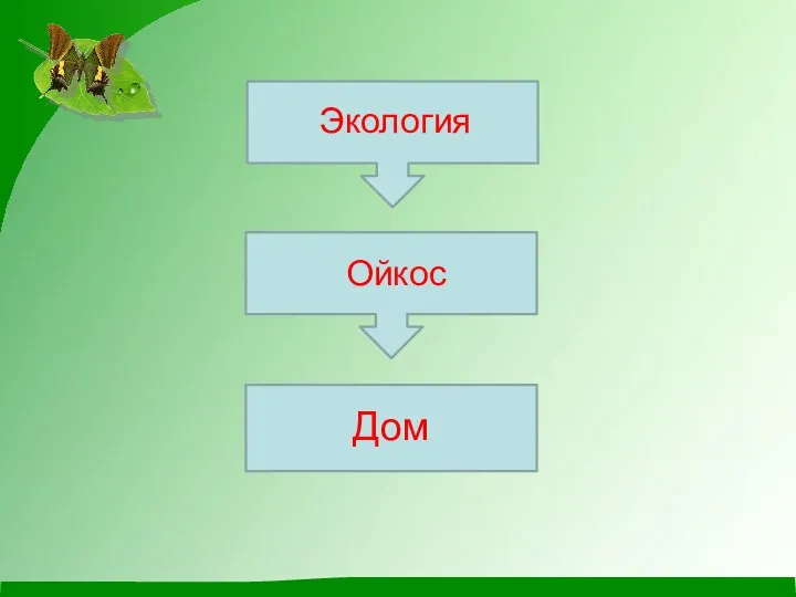 Экология Ойкос Дом