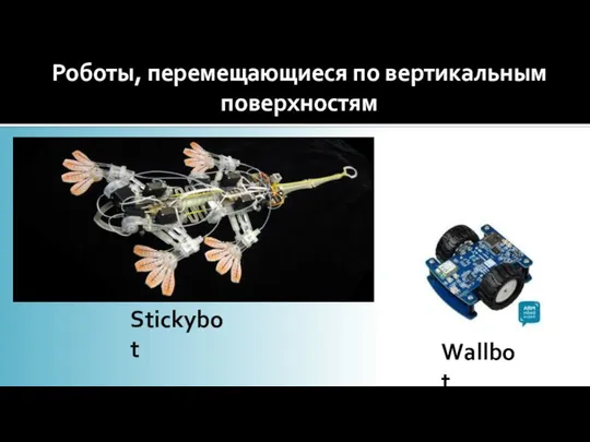 Роботы, перемещающиеся по вертикальным поверхностям Stickybot Wallbot