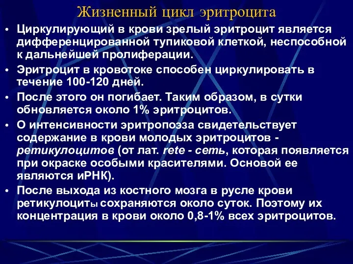 Жизненный цикл эритроцита Циркулирующий в крови зрелый эритроцит является дифференцированной тупиковой клеткой,