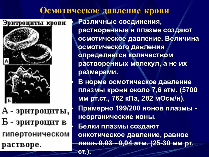 Осмотическое давление крови Различные соединения, растворенные в плазме создают осмотическое давление. Величина