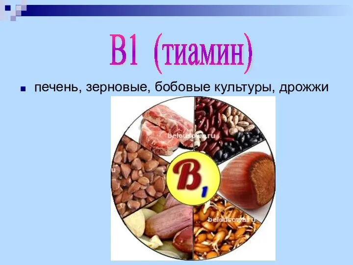 печень, зерновые, бобовые культуры, дрожжи В1 (тиамин)