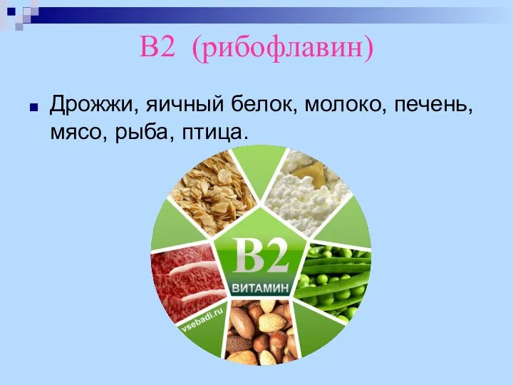 В2 (рибофлавин) Дрожжи, яичный белок, молоко, печень, мясо, рыба, птица.