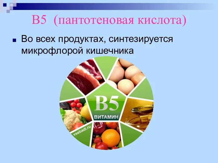 В5 (пантотеновая кислота) Во всех продуктах, синтезируется микрофлорой кишечника