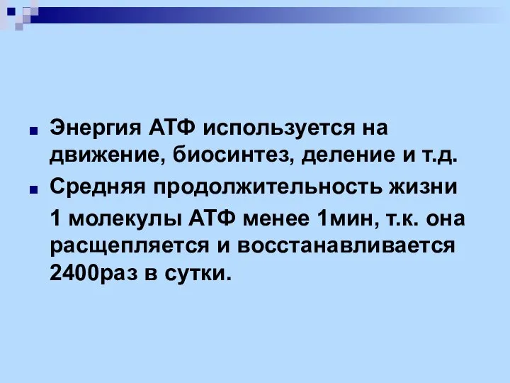 Энергия АТФ используется на движение, биосинтез, деление и т.д. Средняя продолжительность жизни