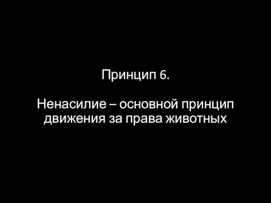 Принцип 6. Ненасилие – основной принцип движения за права животных