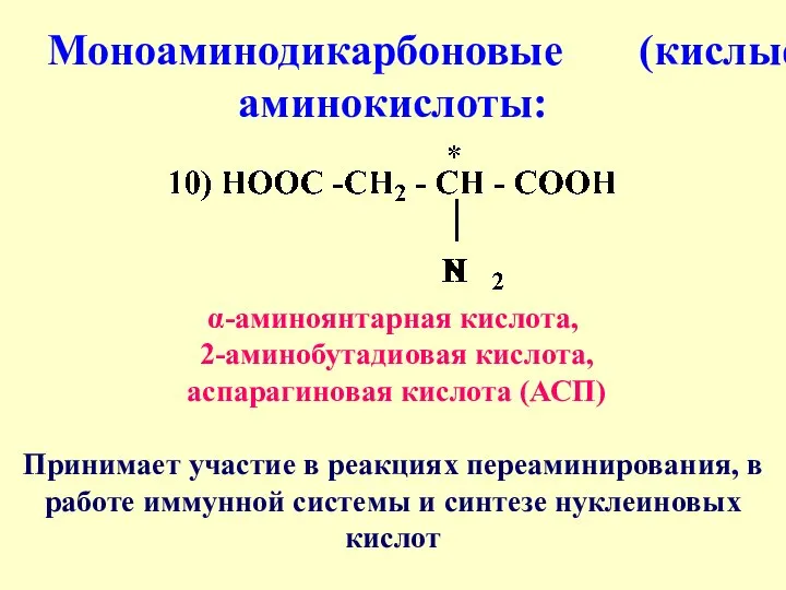 Моноаминодикарбоновые (кислые) аминокислоты: α-аминоянтарная кислота, 2-аминобутадиовая кислота, аспарагиновая кислота (АСП) Принимает участие