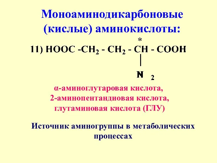 Моноаминодикарбоновые (кислые) аминокислоты: α-аминоглутаровая кислота, 2-аминопентандиовая кислота, глутаминовая кислота (ГЛУ) Источник аминогруппы в метаболических процессах