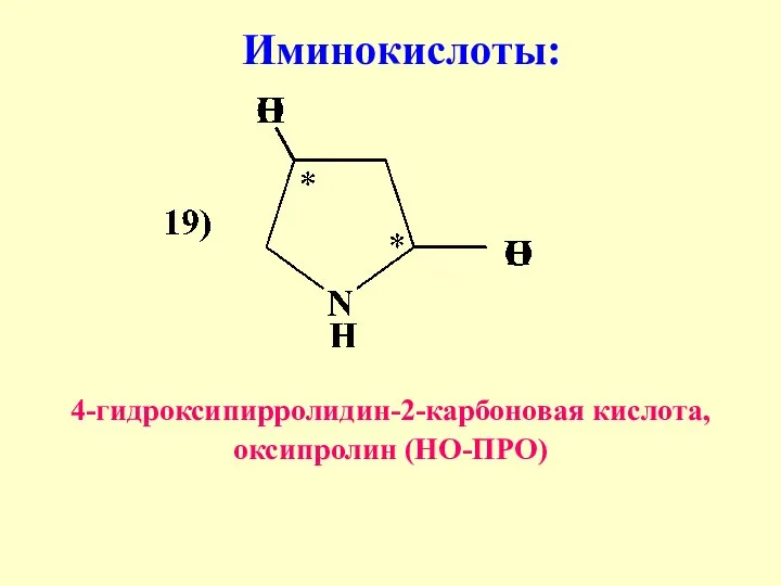 Иминокислоты: 4-гидроксипирролидин-2-карбоновая кислота, оксипролин (НО-ПРО)
