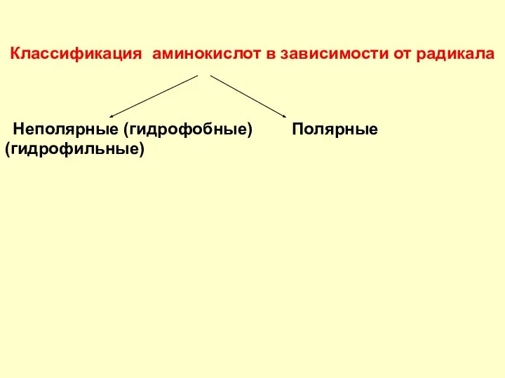 Неполярные (гидрофобные) Полярные(гидрофильные) Классификация аминокислот в зависимости от радикала