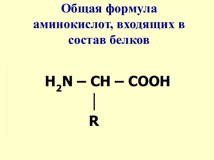 Общая формула аминокислот, входящих в состав белков Н2N – СН – СООН │ R