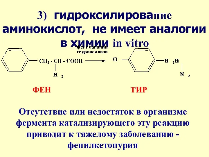 ФЕН ТИР 3) гидроксилирование аминокислот, не имеет аналогии в химии in vitro