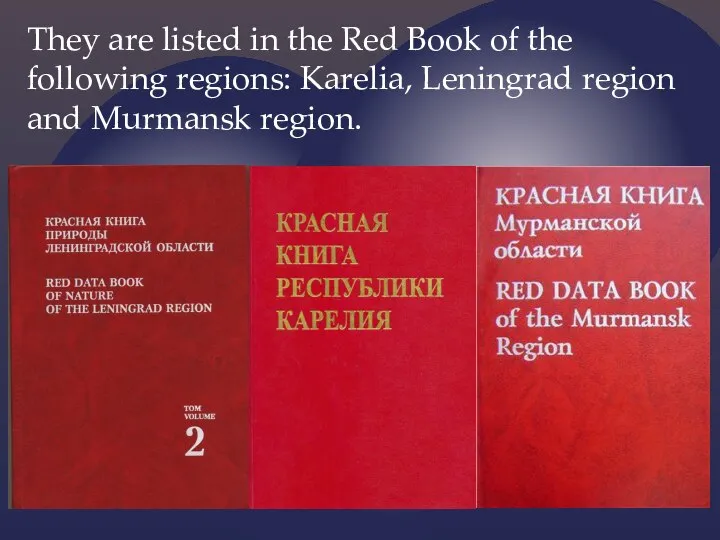 They are listed in the Red Book of the following regions: Karelia,