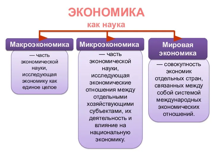 — часть экономической науки, исследующая экономические отношения между отдельными хозяйствующими субъектами, их