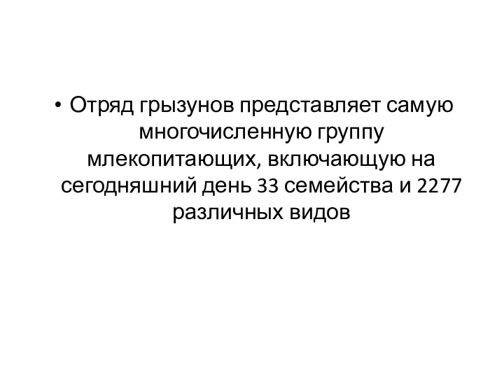 Отряд грызунов представляет самую многочисленную группу млекопитающих, включающую на сегодняшний день 33