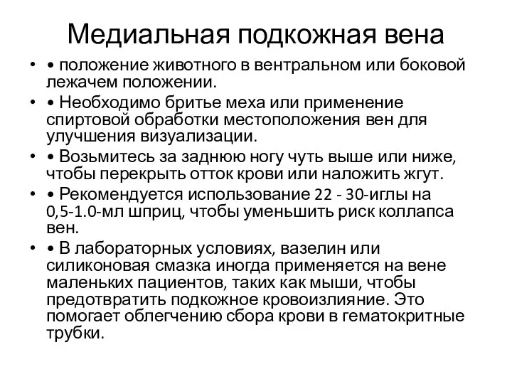 Медиальная подкожная вена • положение животного в вентральном или боковой лежачем положении.