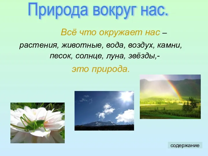 Всё что окружает нас – растения, животные, вода, воздух, камни, песок, солнце,