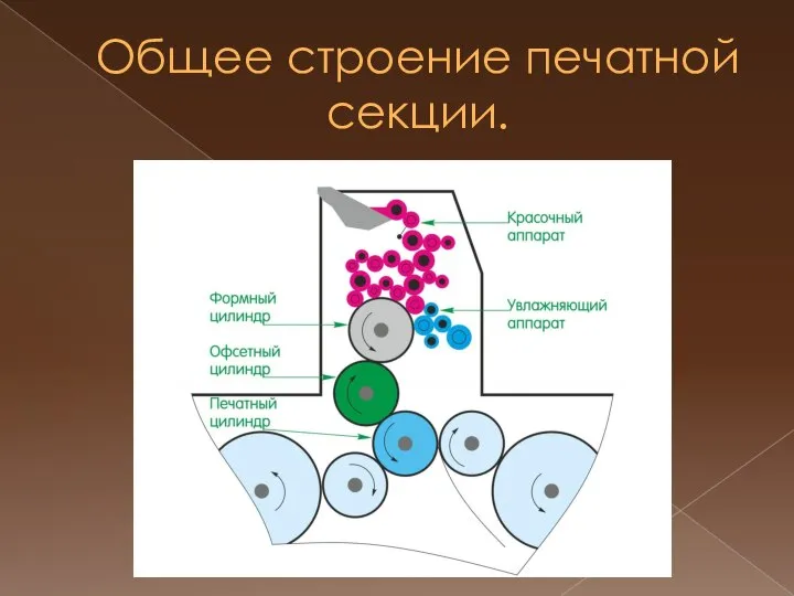 Общее строение печатной секции.