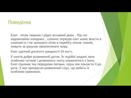 Поведінка Єнот - нічна тварина і рідко активний днем . Під час