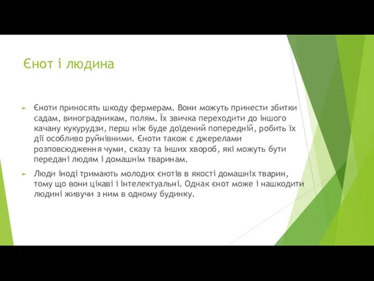 Єнот і людина Єноти приносять шкоду фермерам. Вони можуть принести збитки садам,