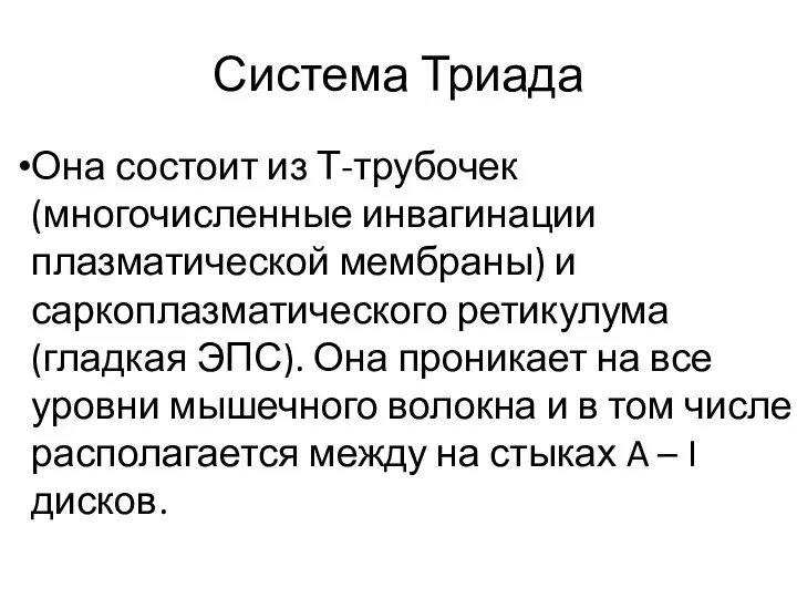 Система Триада Она состоит из Т-трубочек (многочисленные инвагинации плазматической мембраны) и саркоплазматического