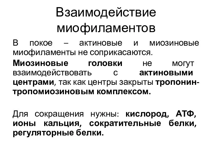 Взаимодействие миофиламентов В покое – актиновые и миозиновые миофиламенты не соприкасаются. Миозиновые