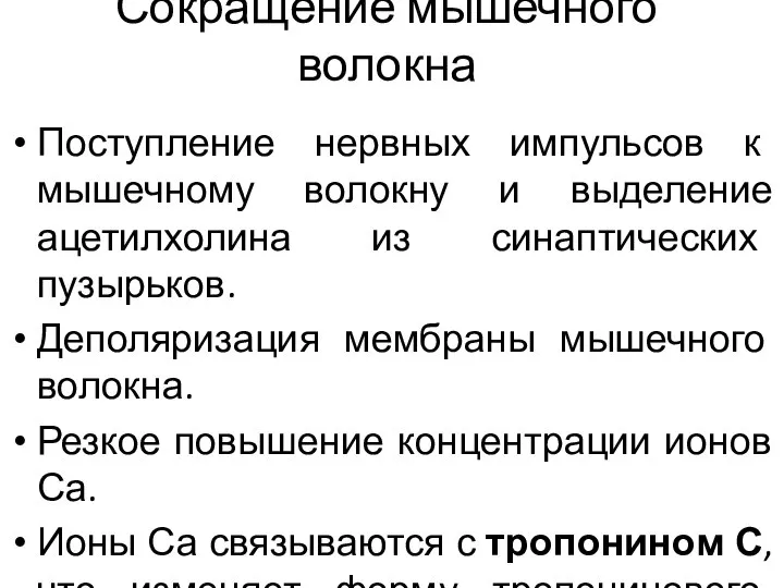 Сокращение мышечного волокна Поступление нервных импульсов к мышечному волокну и выделение ацетилхолина