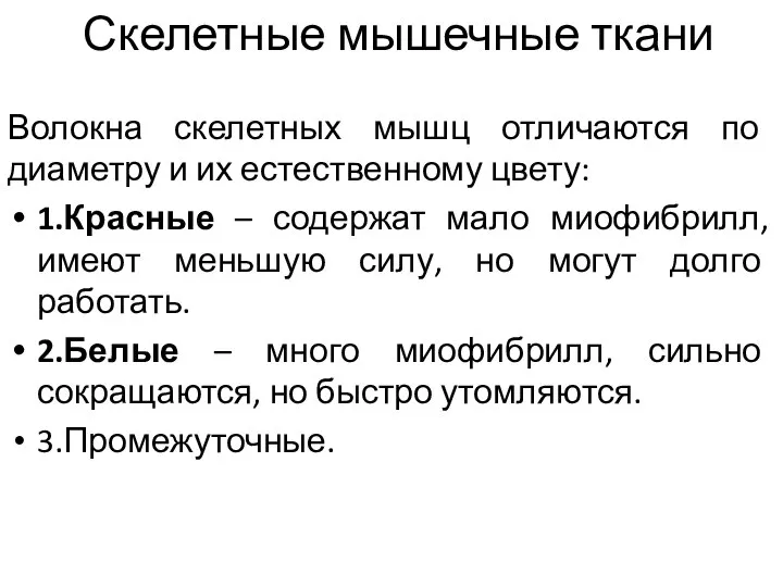 Скелетные мышечные ткани Волокна скелетных мышц отличаются по диаметру и их естественному