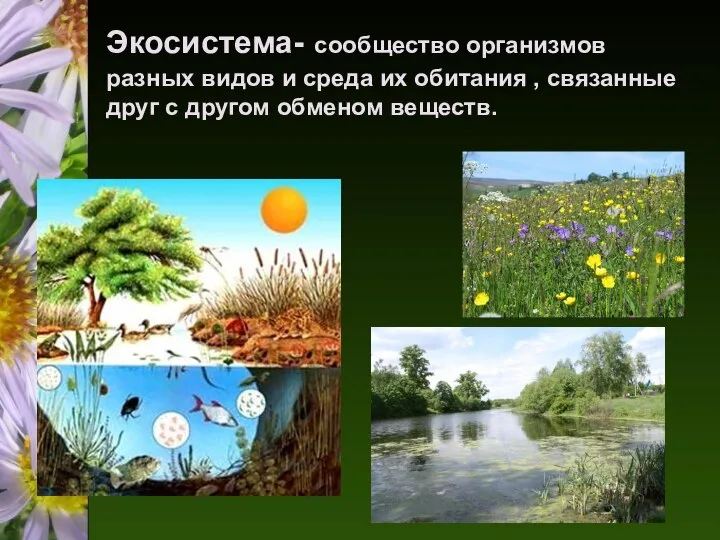 Экосистема- сообщество организмов разных видов и среда их обитания , связанные друг с другом обменом веществ.