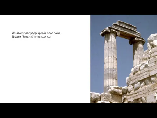 Ионический ордер храма Аполлона. Дидим (Турция). IV век до н.э.