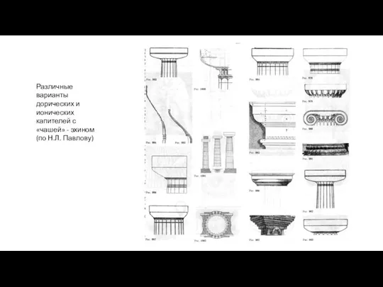 Различные варианты дорических и ионических капителей с «чашей» - эхином (по Н.Л. Павлову)
