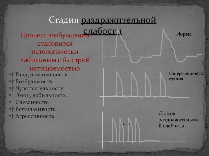 Стадия раздражительной слабости Процесс возбуждения становится патологически лабильным с быстрой истощаемостью ↑