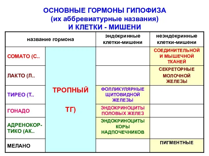 ОСНОВНЫЕ ГОРМОНЫ ГИПОФИЗА (их аббревиатурные названия) И КЛЕТКИ - МИШЕНИ