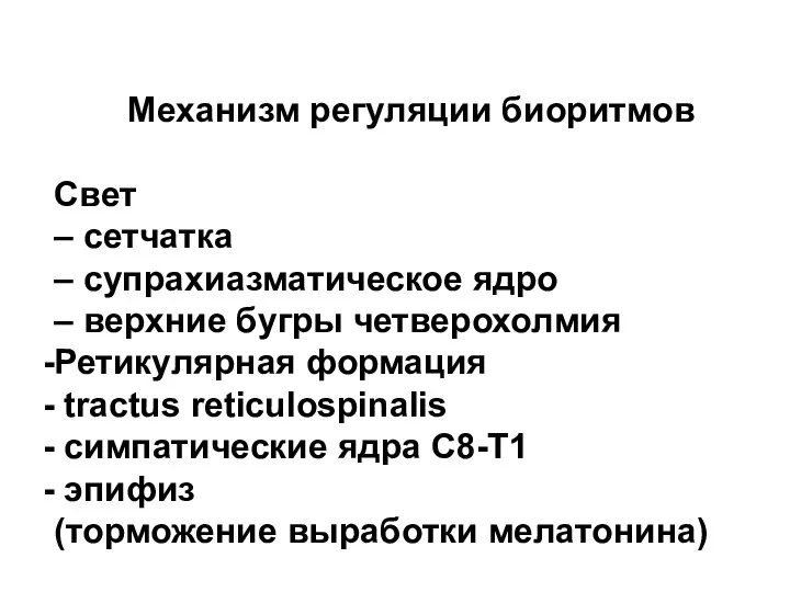 Механизм регуляции биоритмов Свет – сетчатка – супрахиазматическое ядро – верхние бугры