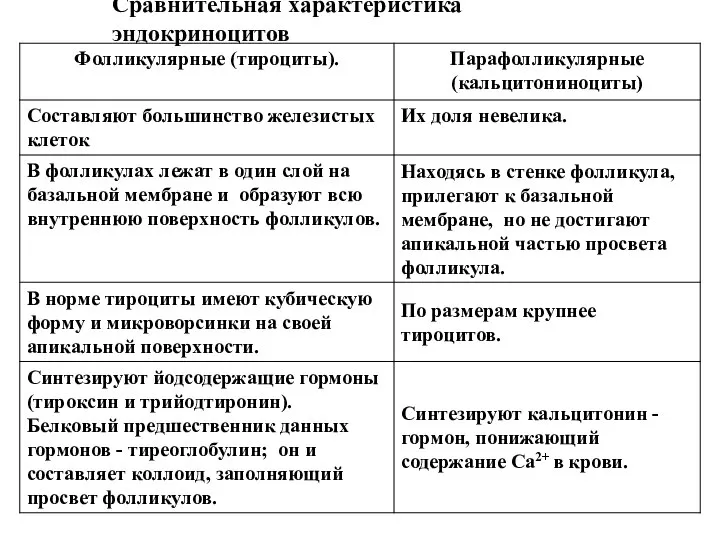 Сравнительная характеристика эндокриноцитов