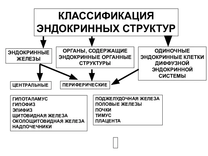 КЛАССИФИКАЦИЯ ЭНДОКРИННЫХ СТРУКТУР ЭНДОКРИННЫЕ ЖЕЛЕЗЫ ОРГАНЫ, СОДЕРЖАЩИЕ ЭНДОКРИННЫЕ ОРГАННЫЕ СТРУКТУРЫ ОДИНОЧНЫЕ ЭНДОКРИННЫЕ