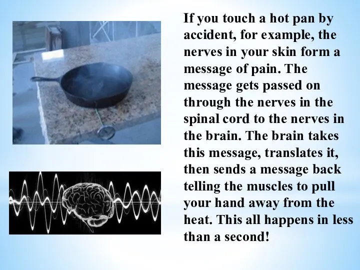 If you touch a hot pan by accident, for example, the nerves