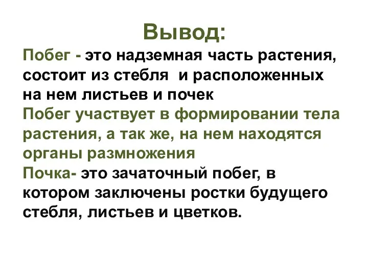 Вывод: Побег - это надземная часть растения, состоит из стебля и расположенных