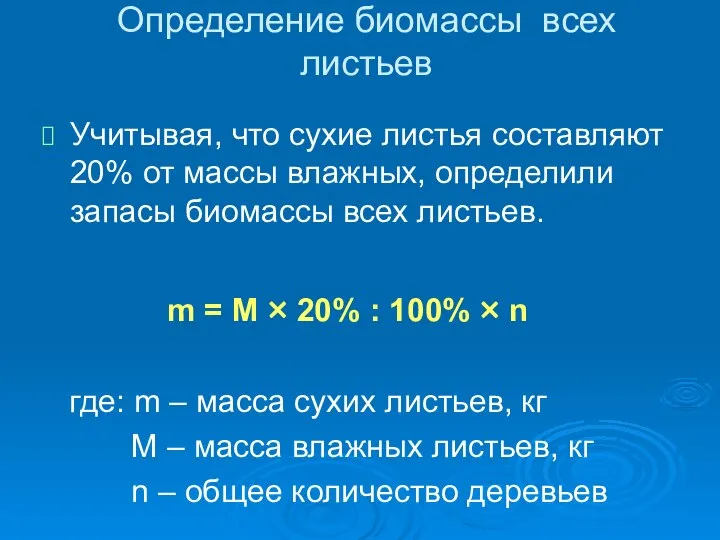 Определение биомассы всех листьев Учитывая, что сухие листья составляют 20% от массы