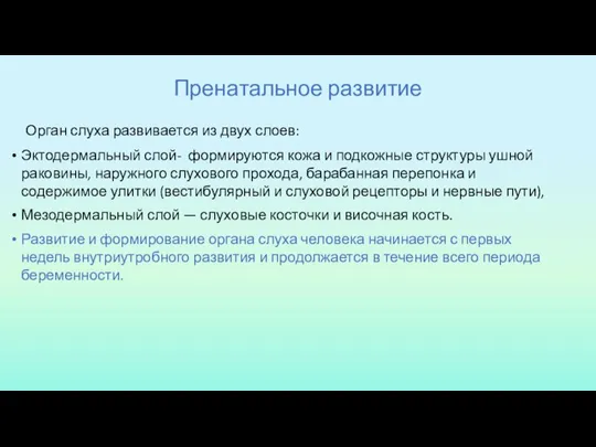 Пренатальное развитие Орган слуха развивается из двух слоев: Эктодермальный слой- формируются кожа