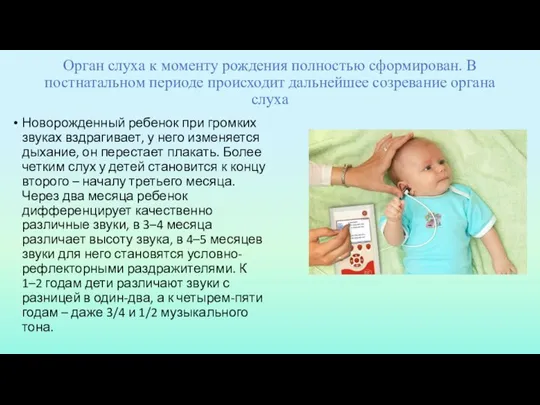 Орган слуха к моменту рождения полностью сформирован. В постнатальном периоде происходит дальнейшее