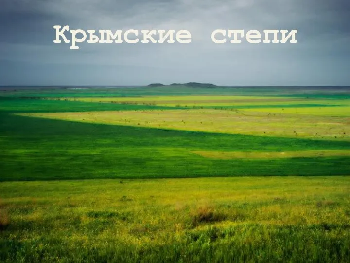 Крымские степи