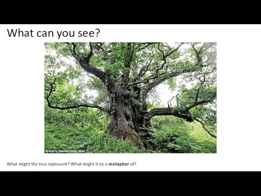 What can you see? What might the tree represent? What might it be a metaphor of?