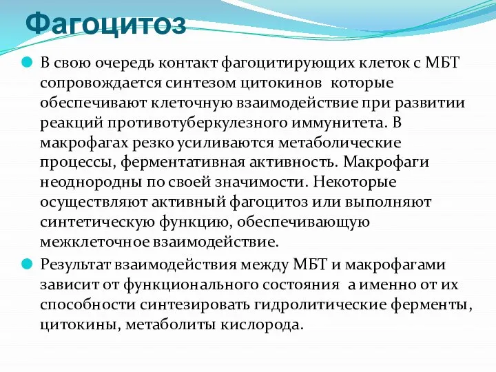 Фагоцитоз В свою очередь контакт фагоцитирующих клеток с МБТ сопровождается синтезом цитокинов