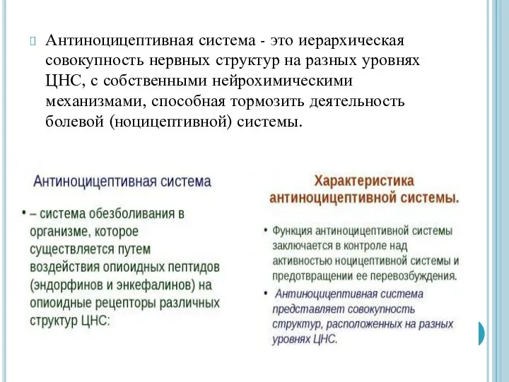 Антиноцицептивная система - это иерархическая совокупность нервных структур на разных уровнях ЦНС,