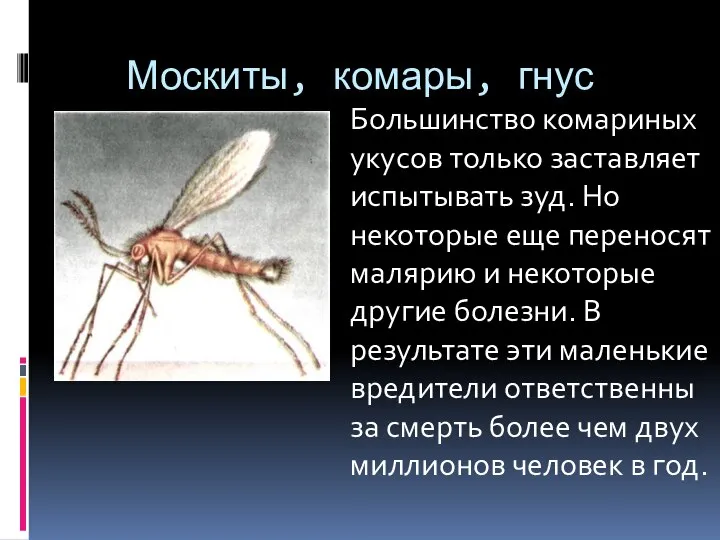 Москиты, комары, гнус Большинство комариных укусов только заставляет испытывать зуд. Но некоторые