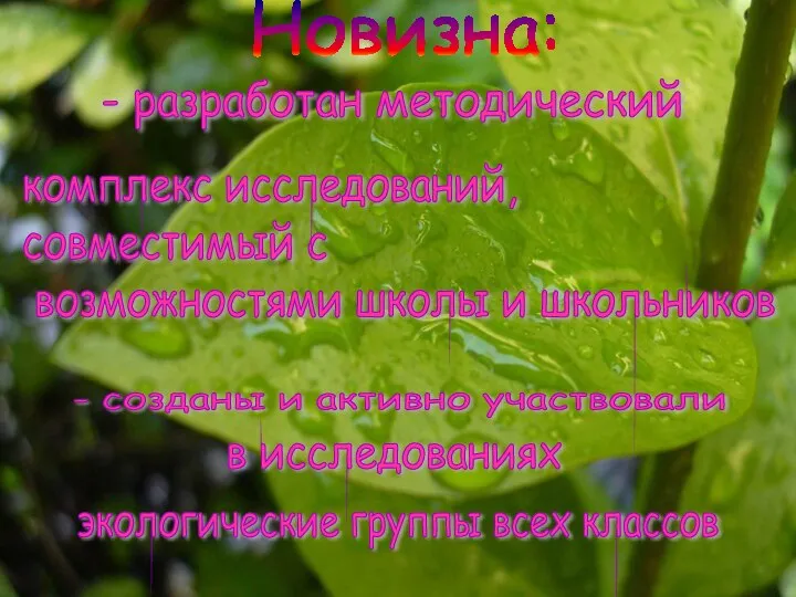 Новизна: - разработан методический комплекс исследований, совместимый с возможностями школы и школьников