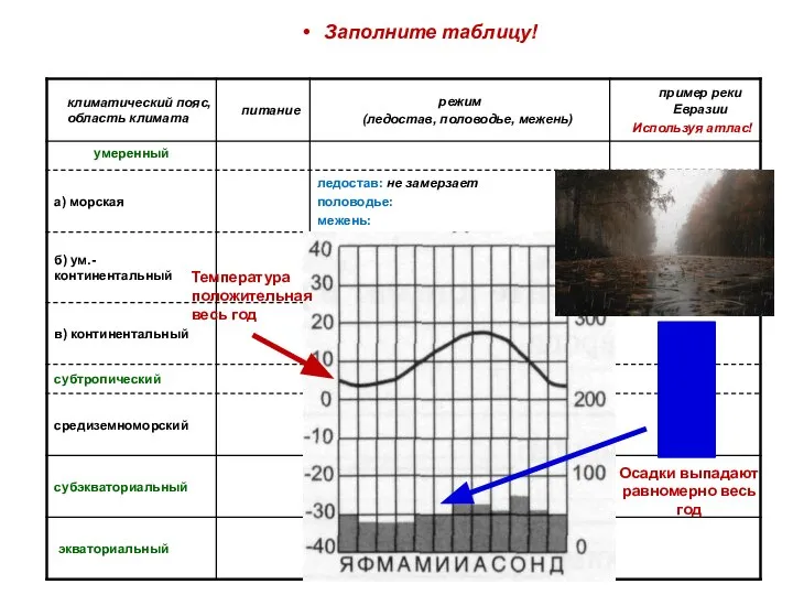 Заполните таблицу! Осадки выпадают равномерно весь год Температура положительная весь год