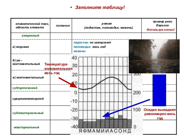 Заполните таблицу! Температура положительная весь год Осадки выпадают равномерно весь год